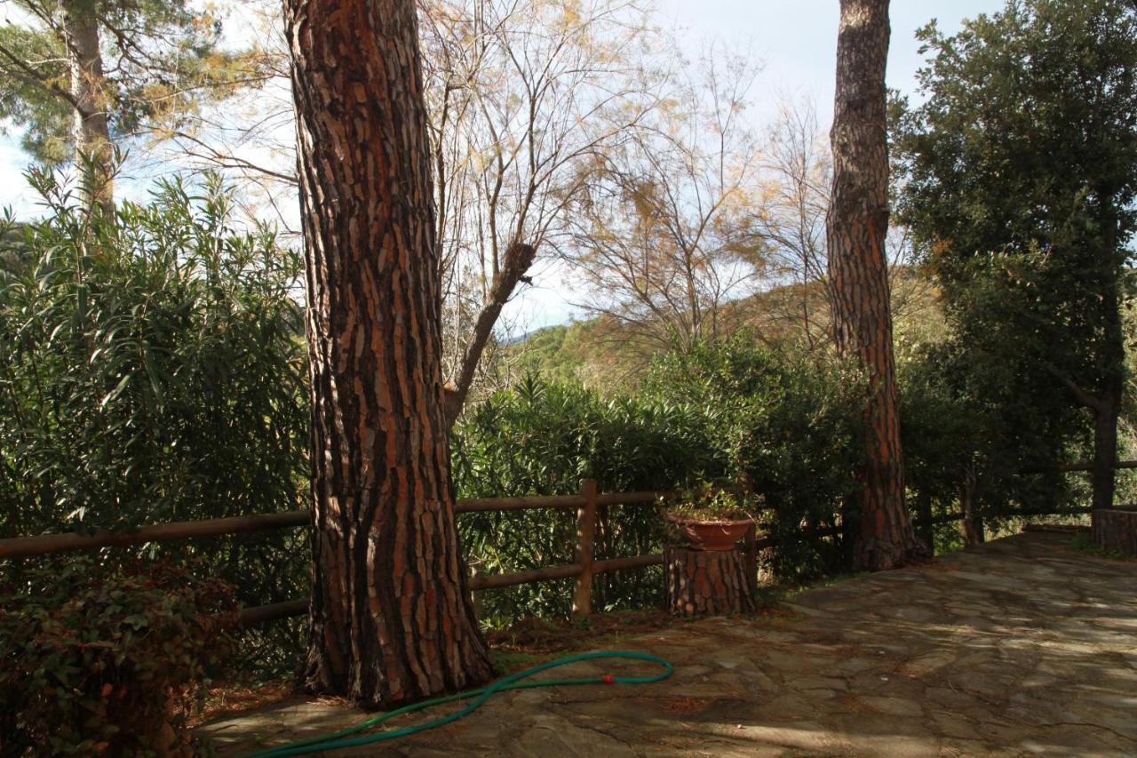 Villa Giulia Al Mare Castiglione della Pescaia Extérieur photo