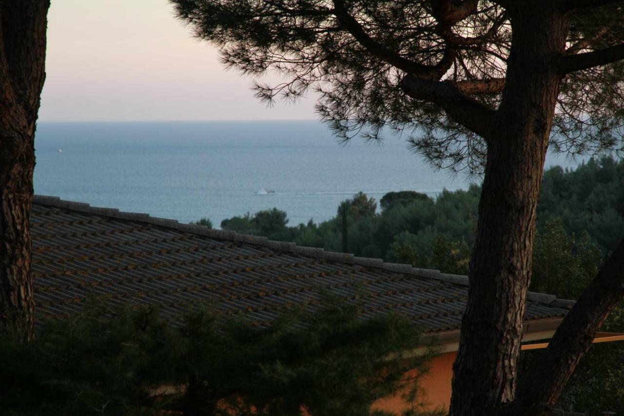 Villa Giulia Al Mare Castiglione della Pescaia Extérieur photo