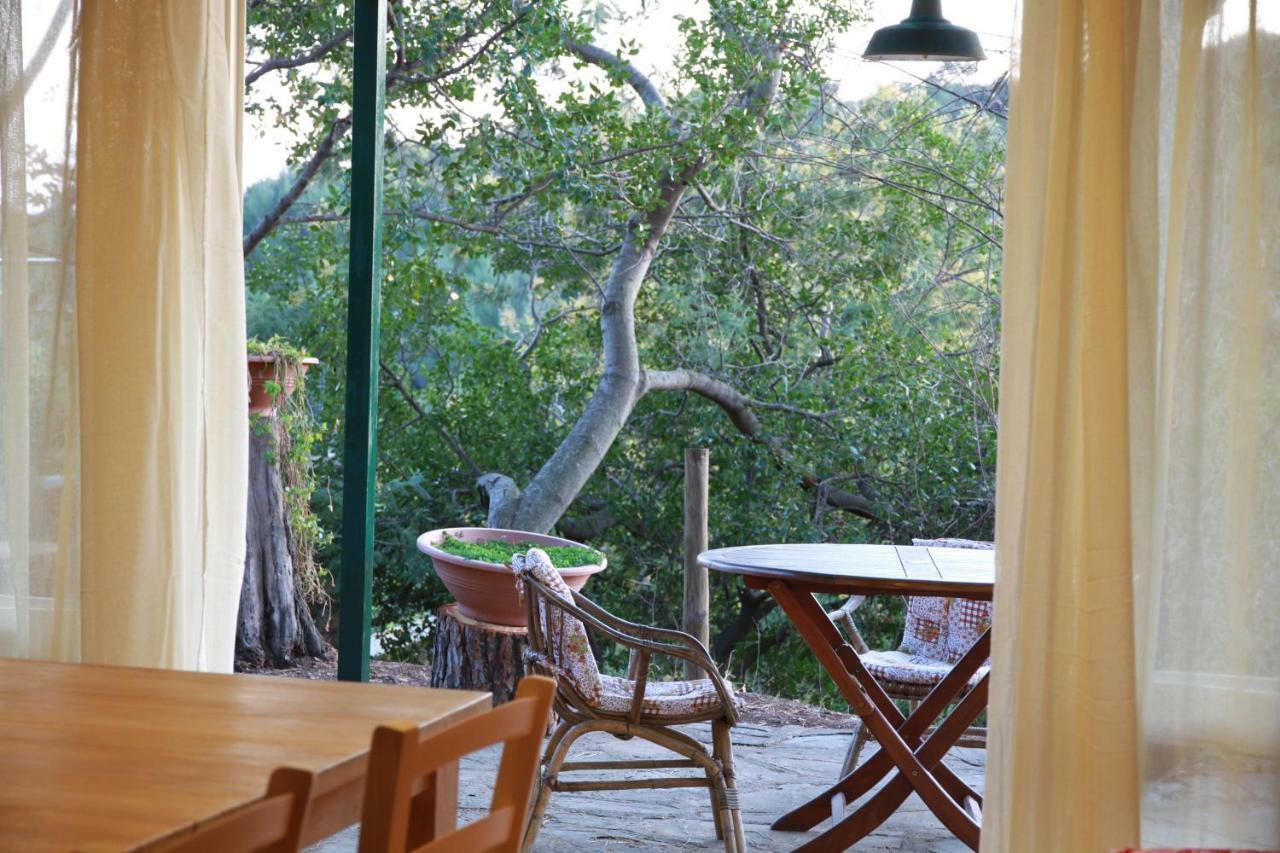 Villa Giulia Al Mare Castiglione della Pescaia Extérieur photo